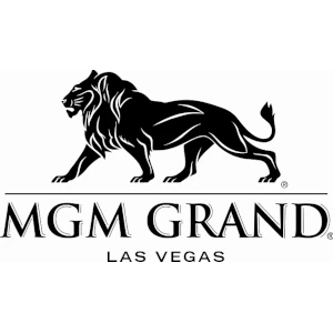 6.MGM GRAND